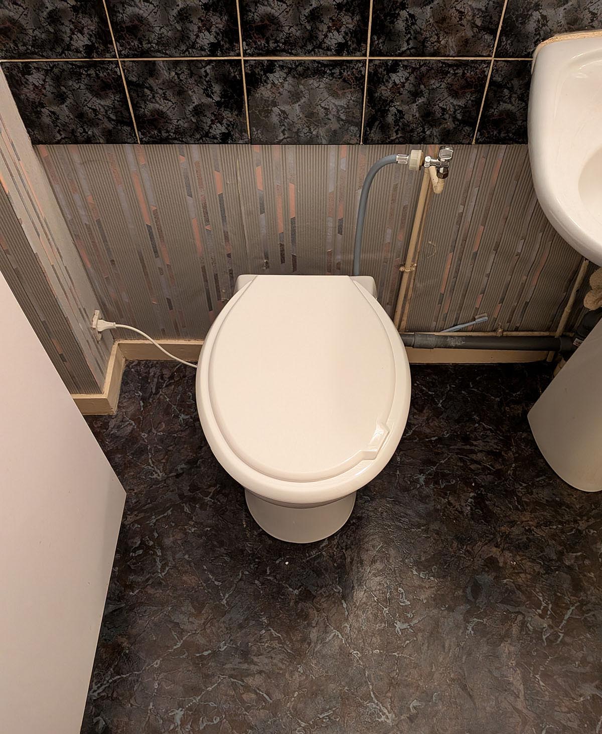 Remplacement d'un sanitaire compact à broyeur à Décines